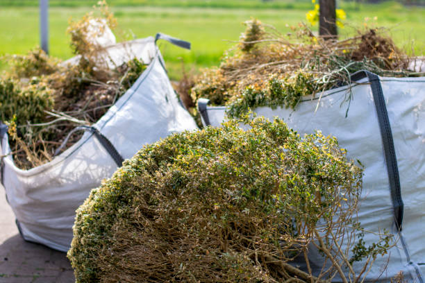 Best Furniture Removal Near Me  in Wilson, PA
