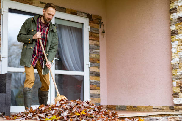 Best Basement Cleanout Services  in Wilson, PA